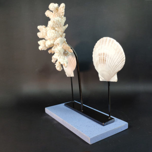 coral