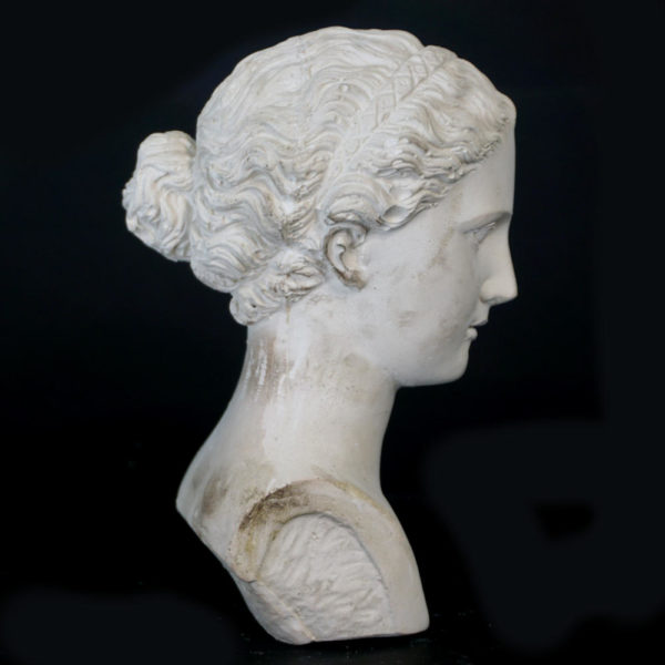 Woman Bust