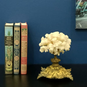 Acropora Coral on Antique Brass Pedestal